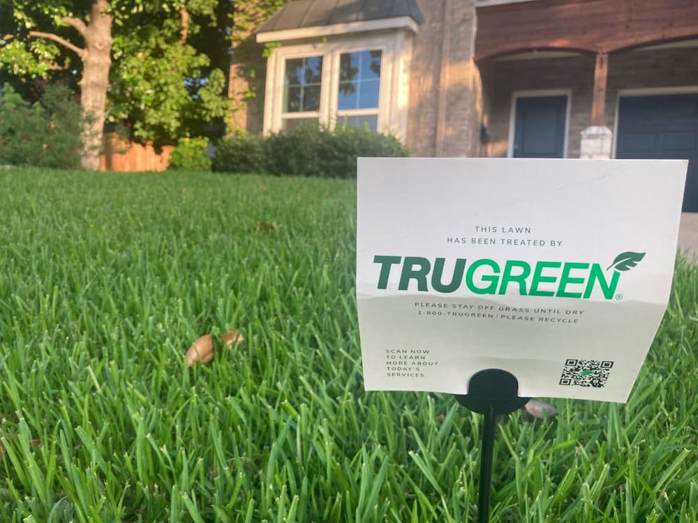 Is TruGreen Safe For Pets? Already Solved
