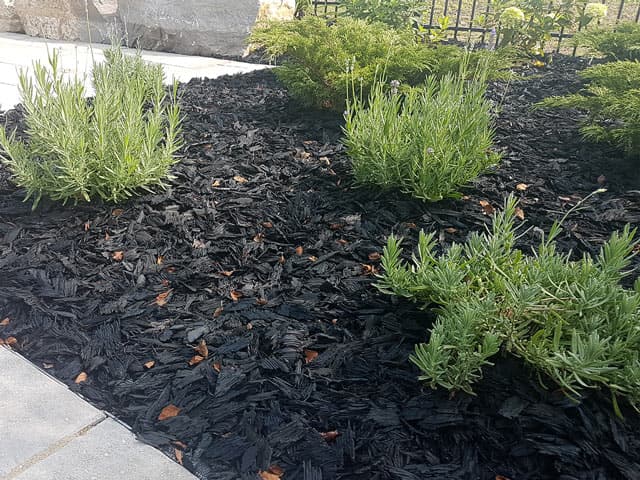 Is Rubber Mulch Safe for Plants - the Ultimate Guide