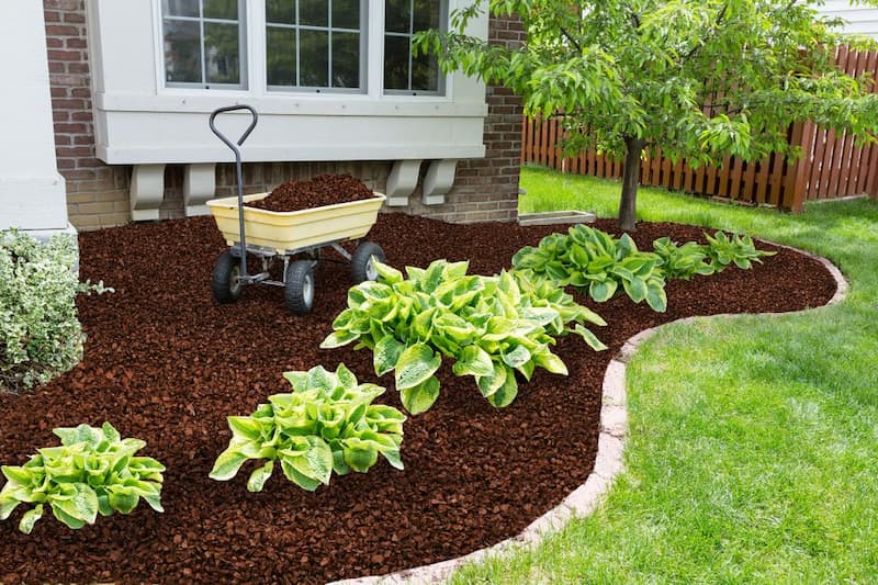 Is Rubber Mulch Safe for Plants? – the Ultimate Guide